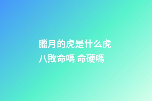 臘月的虎是什么虎 八敗命嗎 命硬嗎